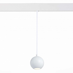 Светильник трековый магнитный ST-Luce Skyline 48 ST354.543.12 - фото и цены