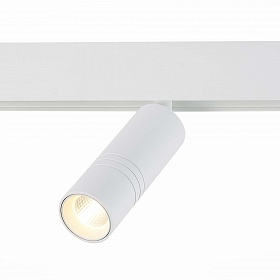 Светильник трековый магнитный ST-Luce Skyline 48 ST365.536.12 - фото и цены