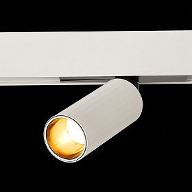 Светильник трековый магнитный ST-Luce Skyline 48 ST807.546.12 - фото и цены