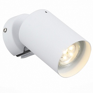 Спот ST-Luce Настенные Светильники SL597.501.01 - фото и цены